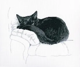 Among black cats M668 Counted Cross Stitch Kit