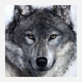 Aspen Wolf Art on Stretched Canvas