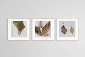 Frozen Leaves Set