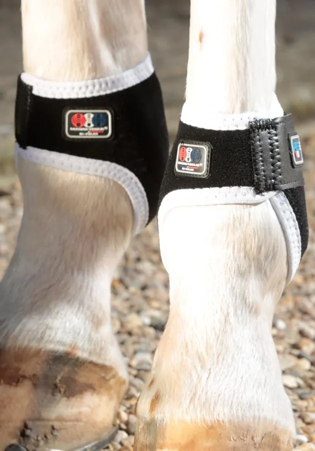 PEI Magnetic Fetlock Boots